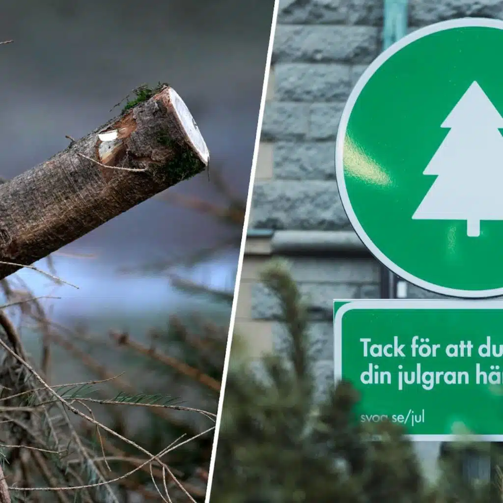 Fredag 13 januari 2023