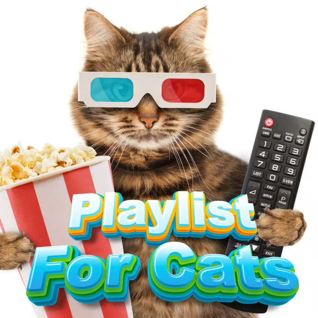 Playlist For Cats, Calm Music Playlist For Cats & Playlist For Kittens