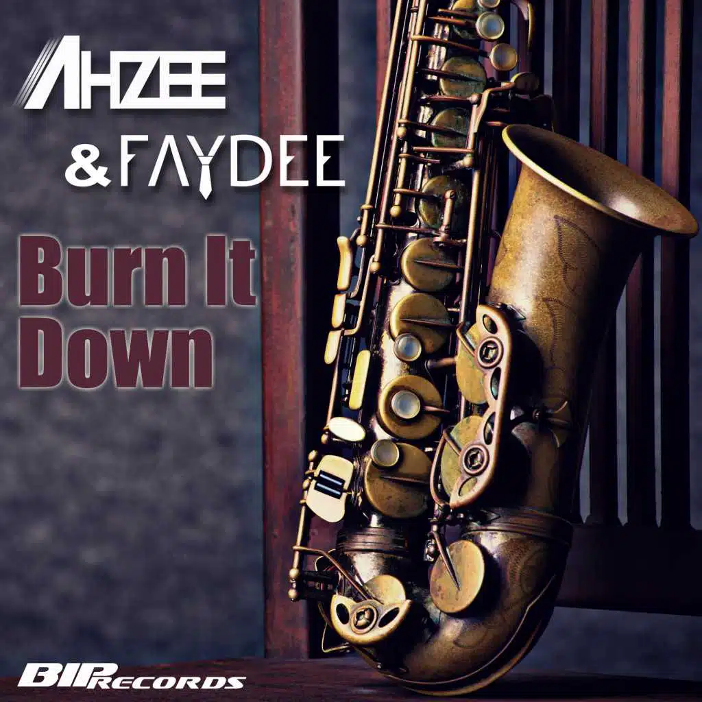 Burn It Down (Radio Edit)
