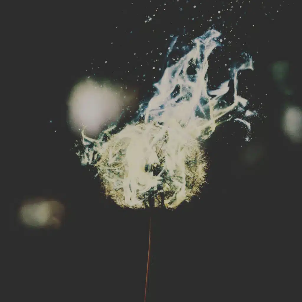 John Dahlbäck & Porsche Love