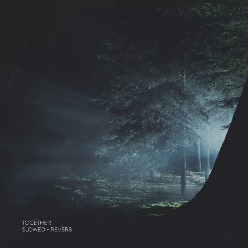 Together (Slowed + Reverb)