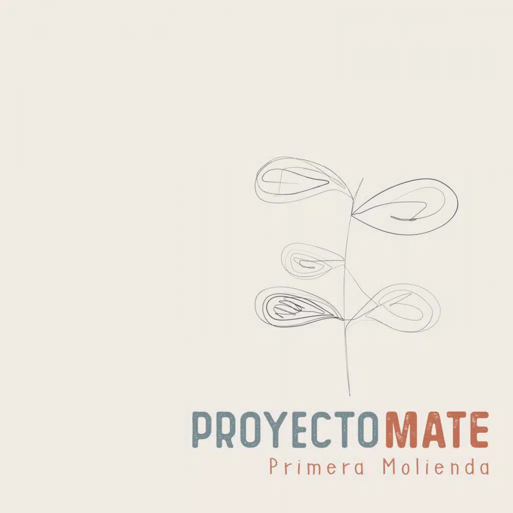 Proyecto Mate