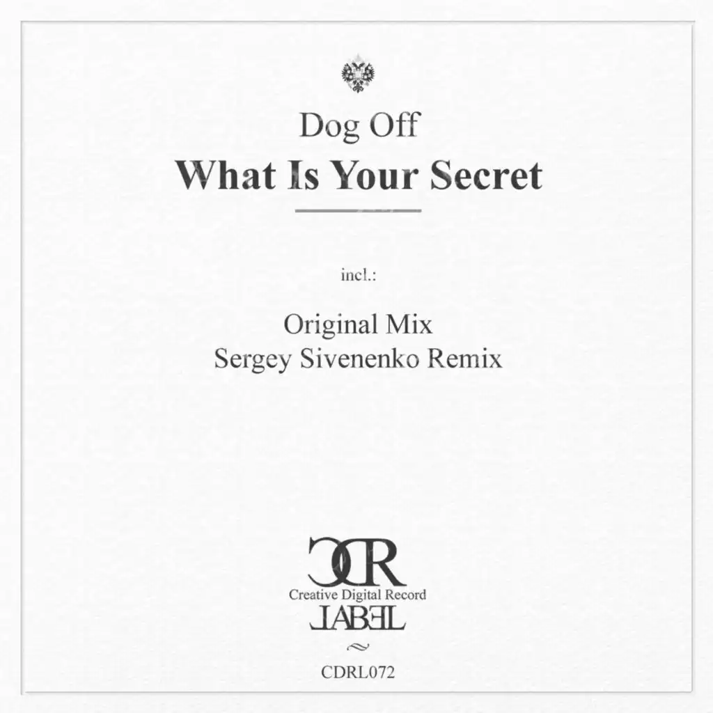 What Is Your Secret (Sergey Sivenenko Remix)