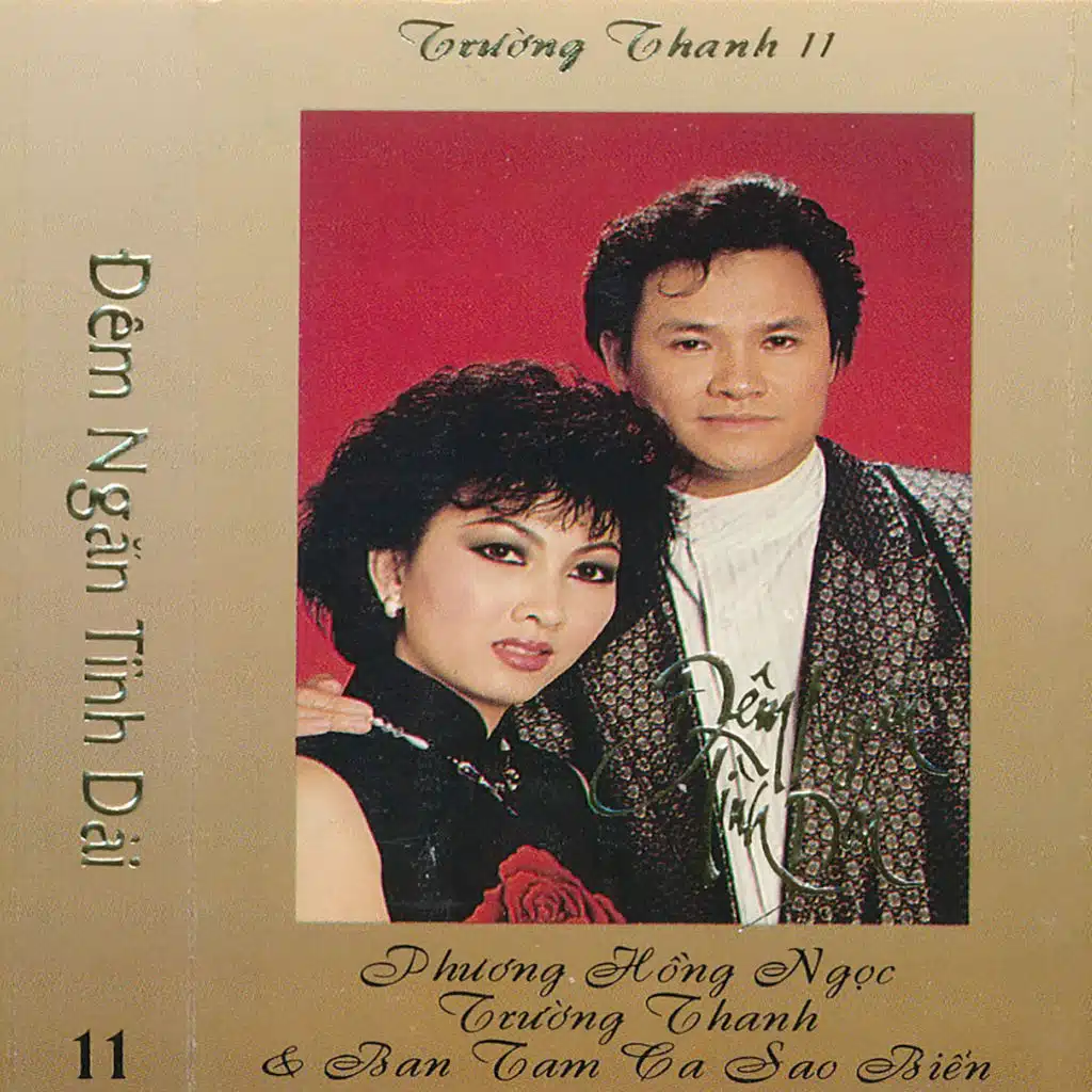 Trường Thanh 11 - Đêm Ngắn Tình Dài