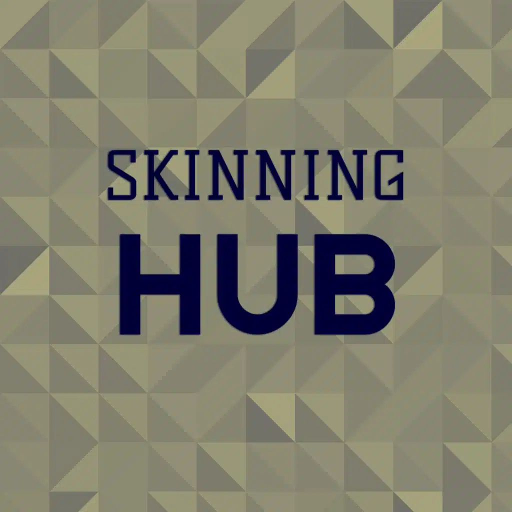 Skinning Hub
