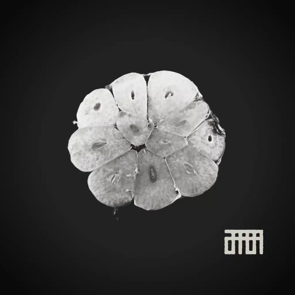 Acierto Perihepático (Grabado en Directo)