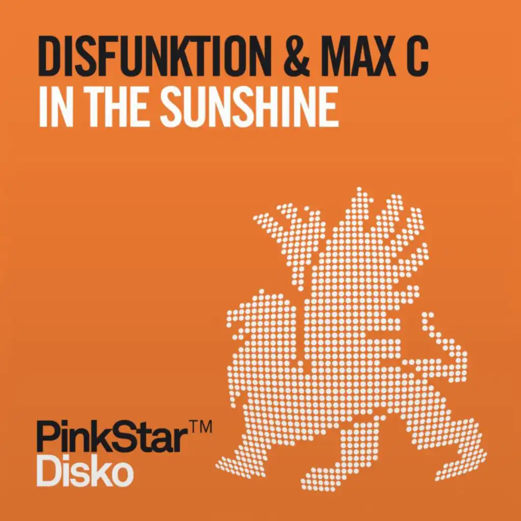In the Sunshine (Don Palm & Johan Wedel Remix)