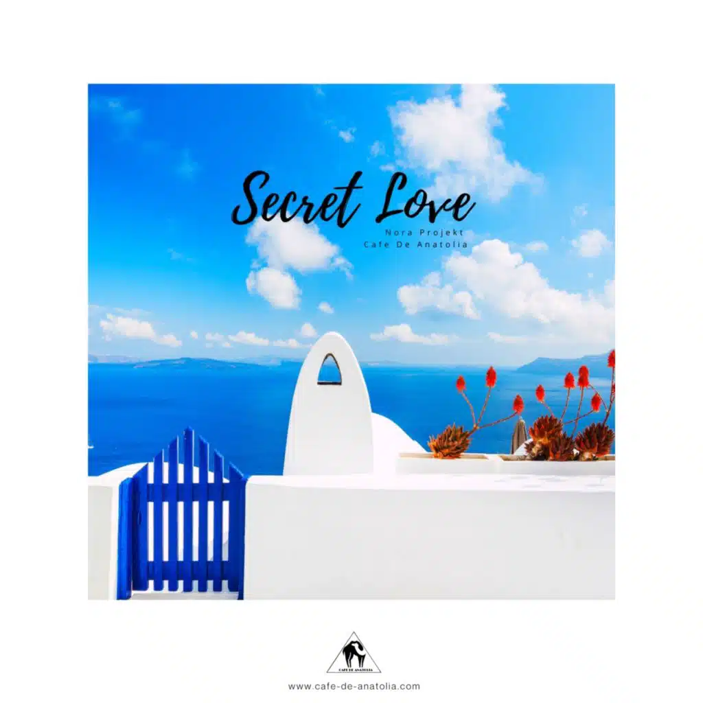 Billy Esteban, Nora Projekt & Cafe De Anatolia