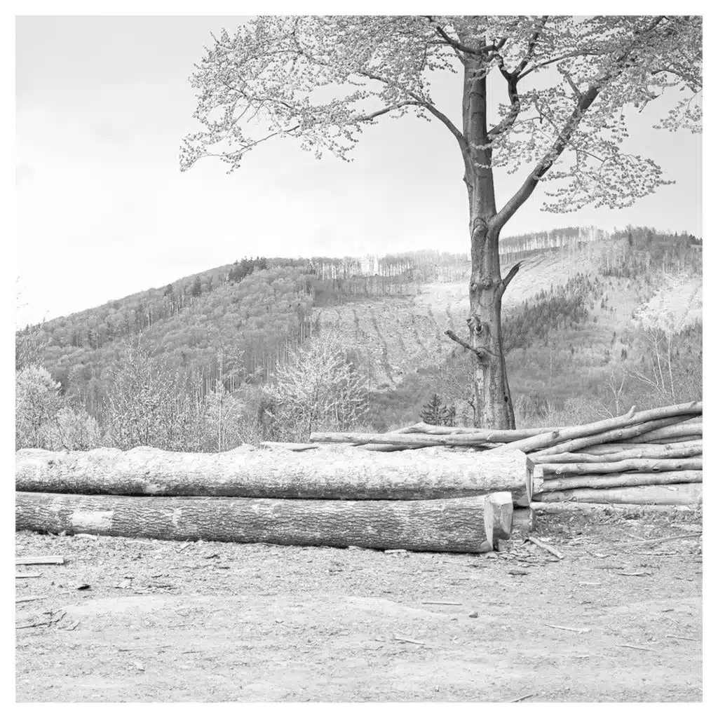 Robert Křesťan & Druhá tráva