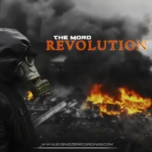 Made In Revolution (Original Mix)