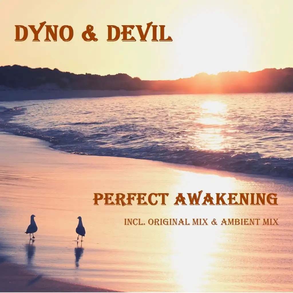 Perfect Awakening (Ambient Mix)