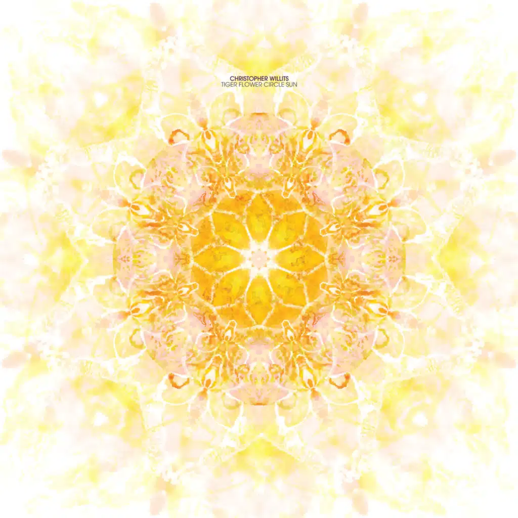 Sunlight Is You
