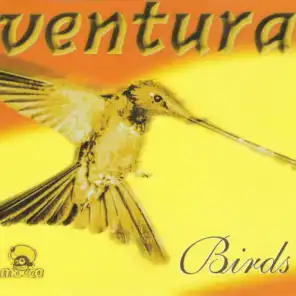 Birds (Instrumental) (Remastered 2020)