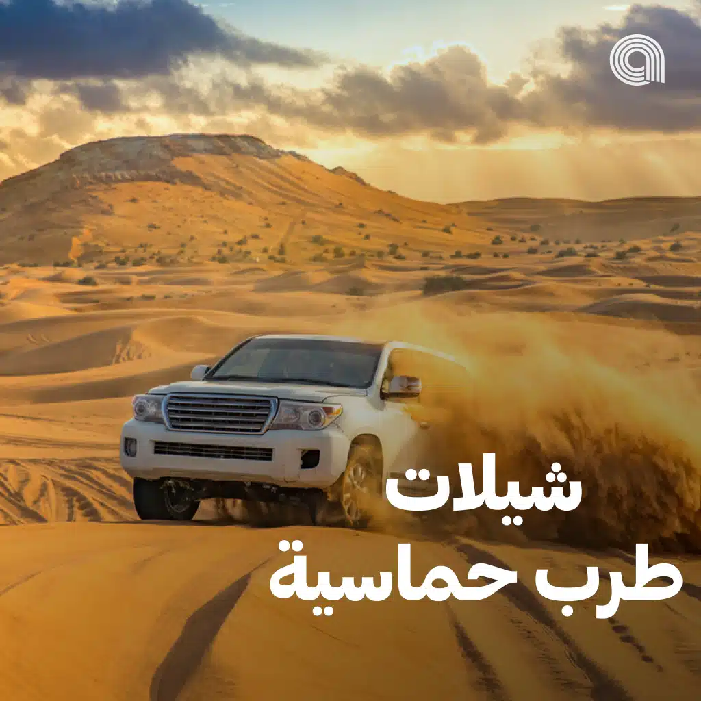 شيلات طرب حماسية