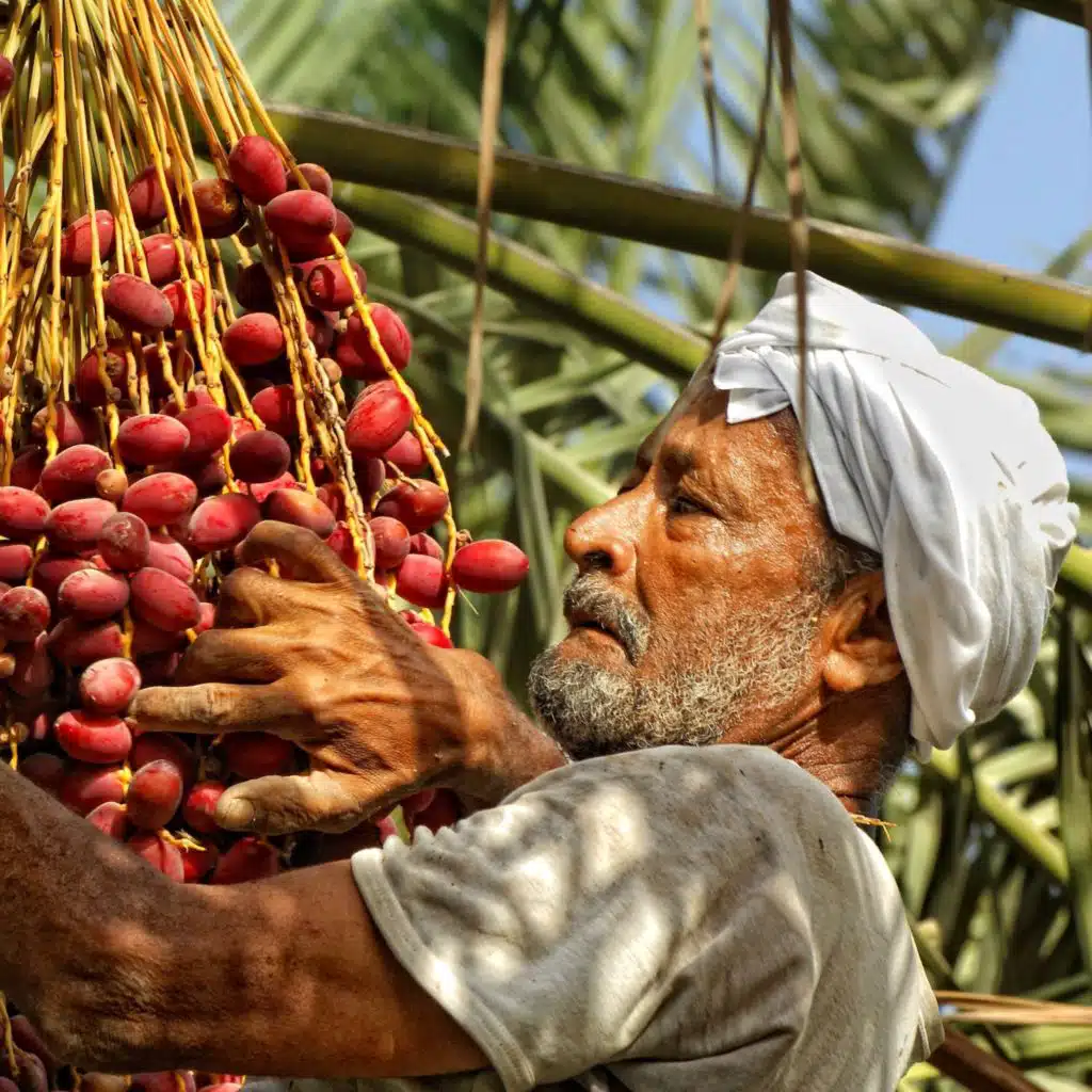 How can we protect the quality of jobs?