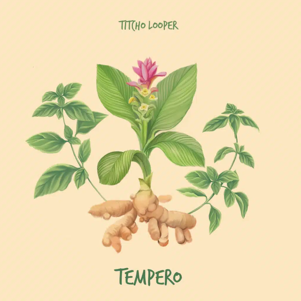 Titcho Looper