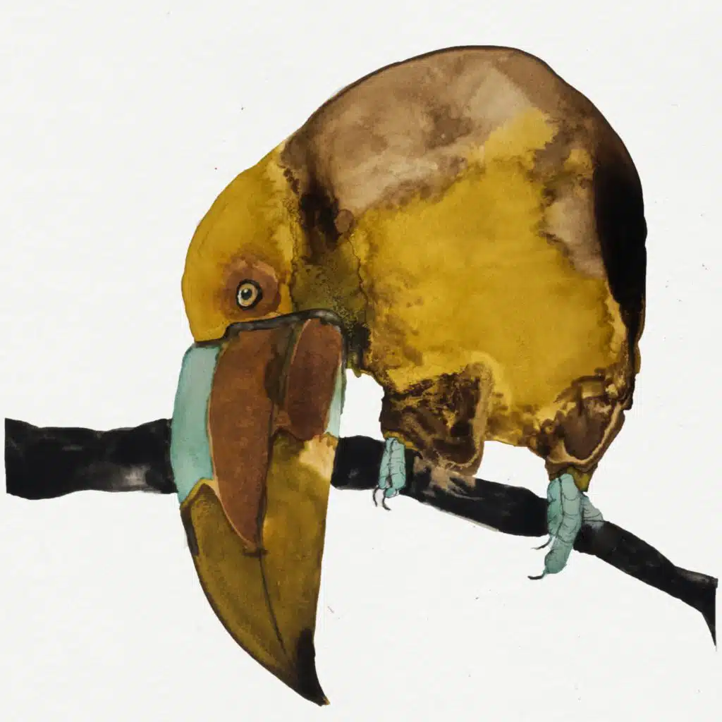 Did (feat. Cosmo Sheldrake)