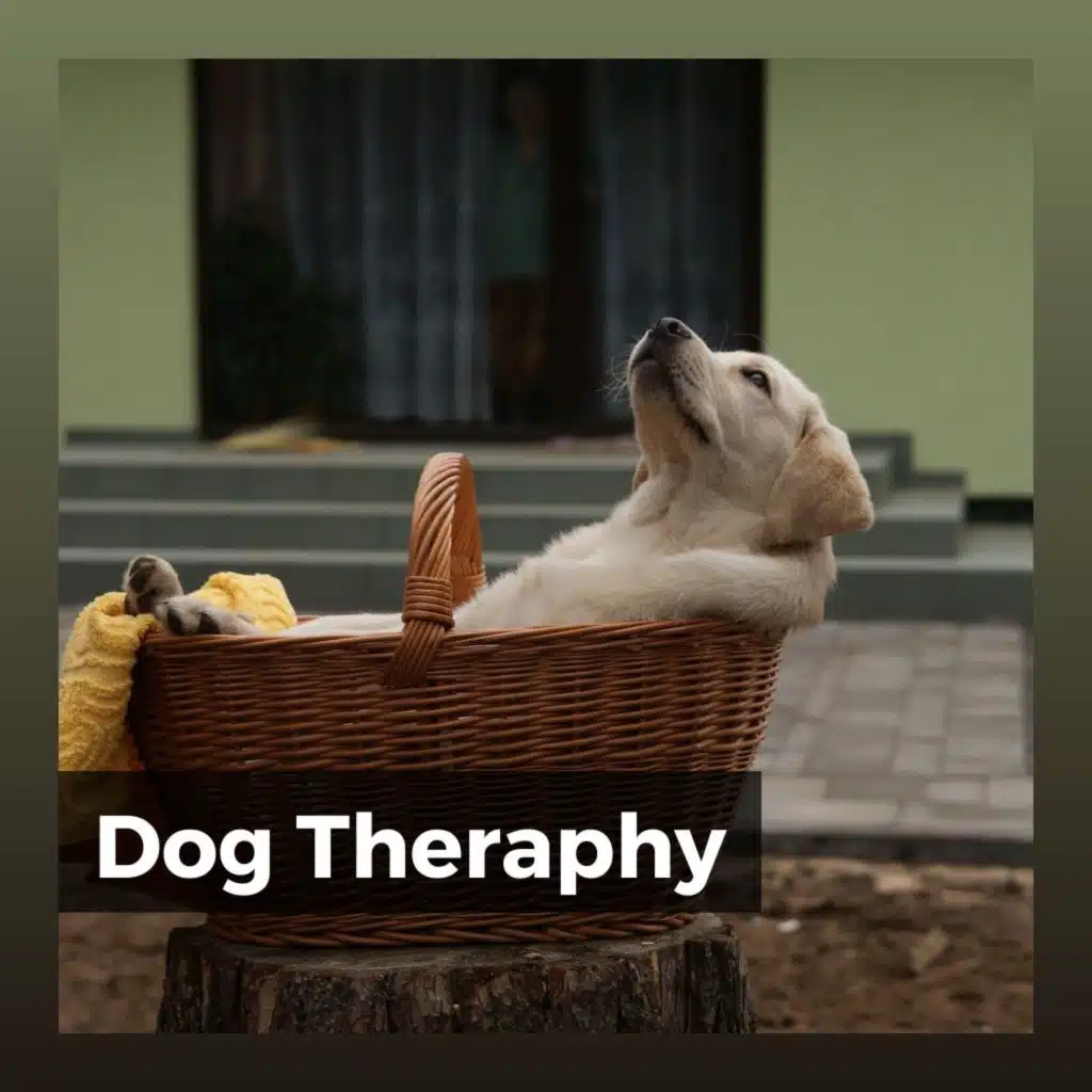 Dog Theraphy