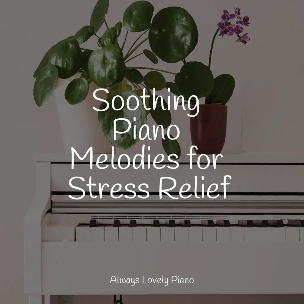 Soothing Piano Melodies for Stress Relief