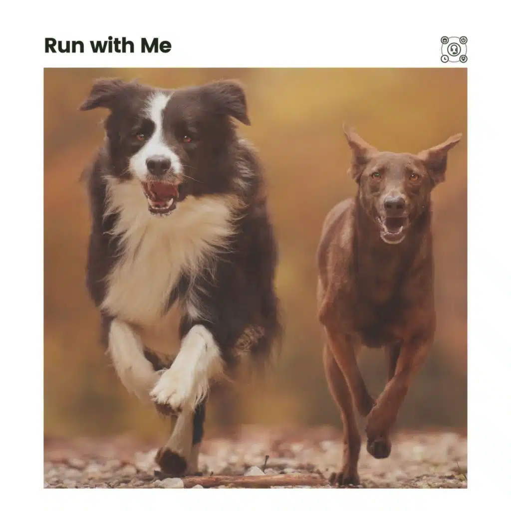 Run with Me