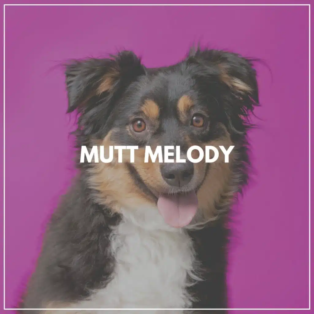 Mutt Melody