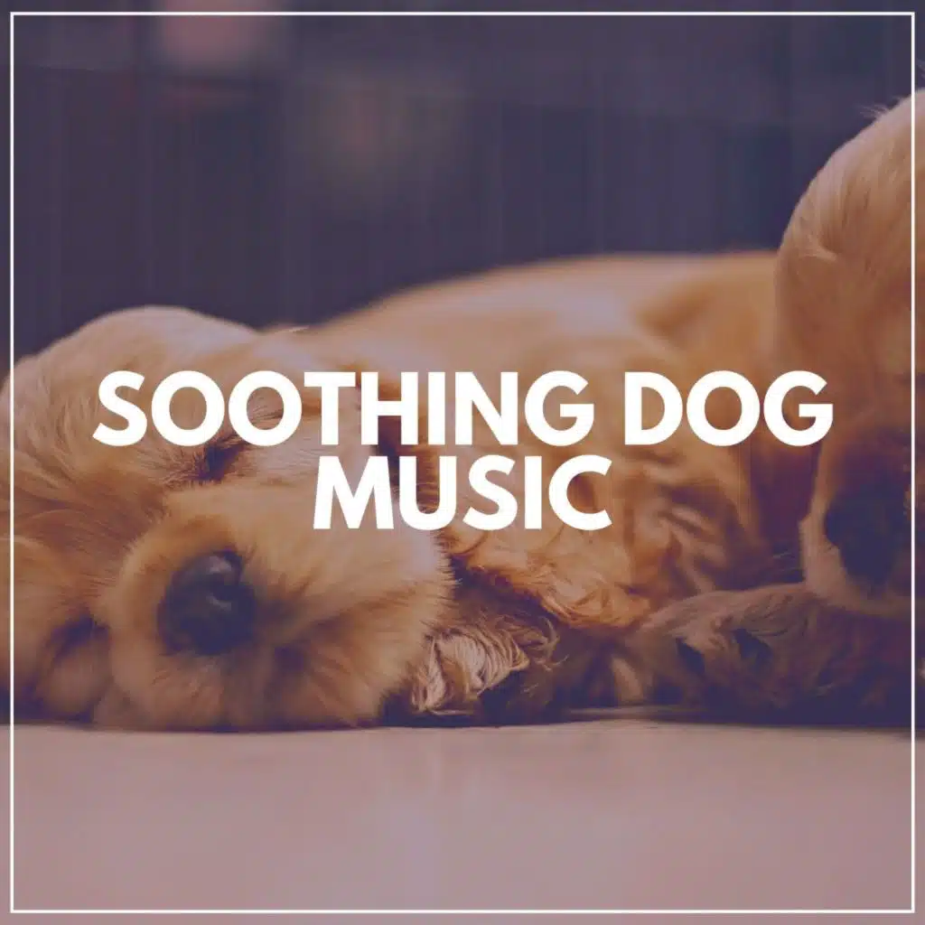Ultimate Chill Music for Your Dog, Pt. 31