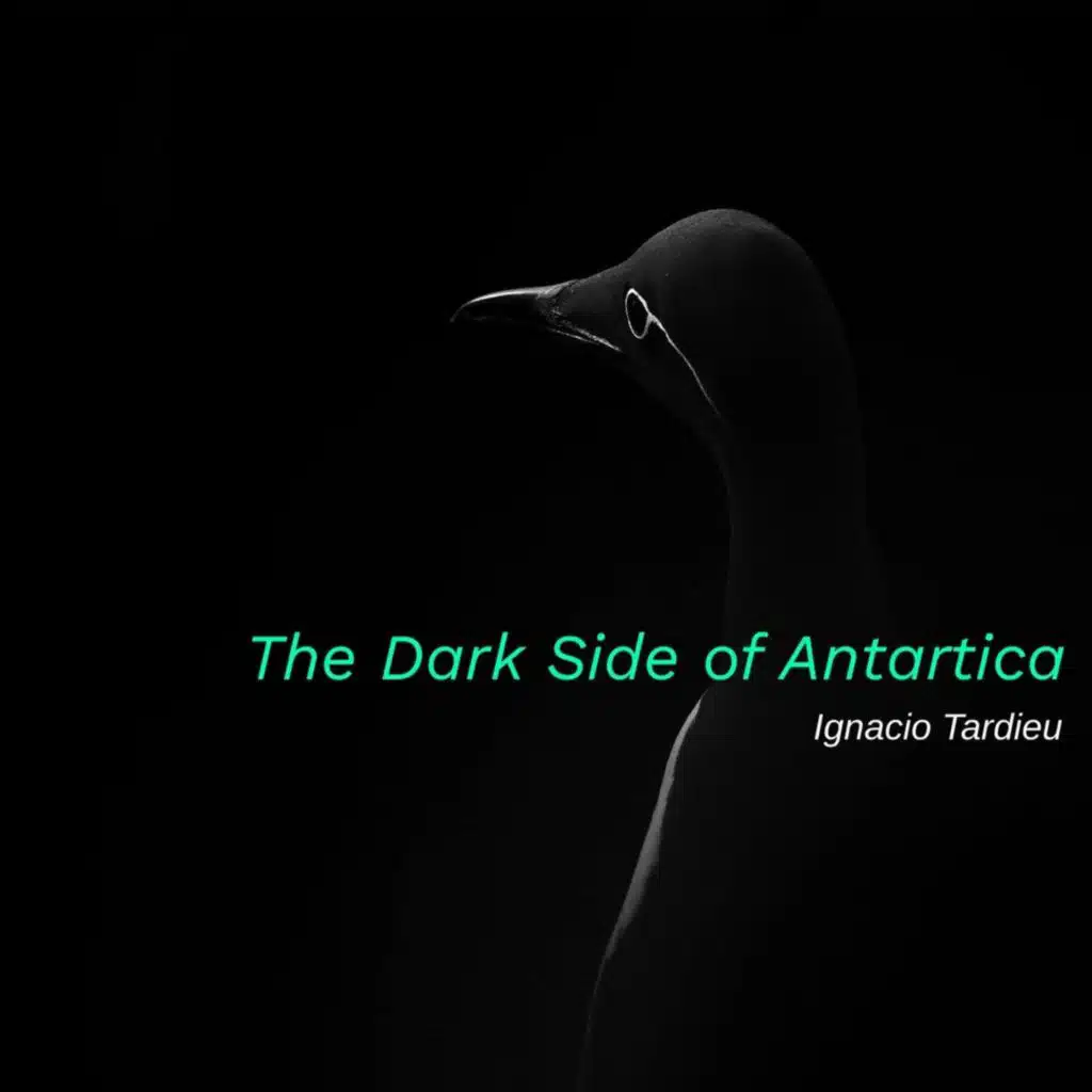 The Dark Side of Antarctica