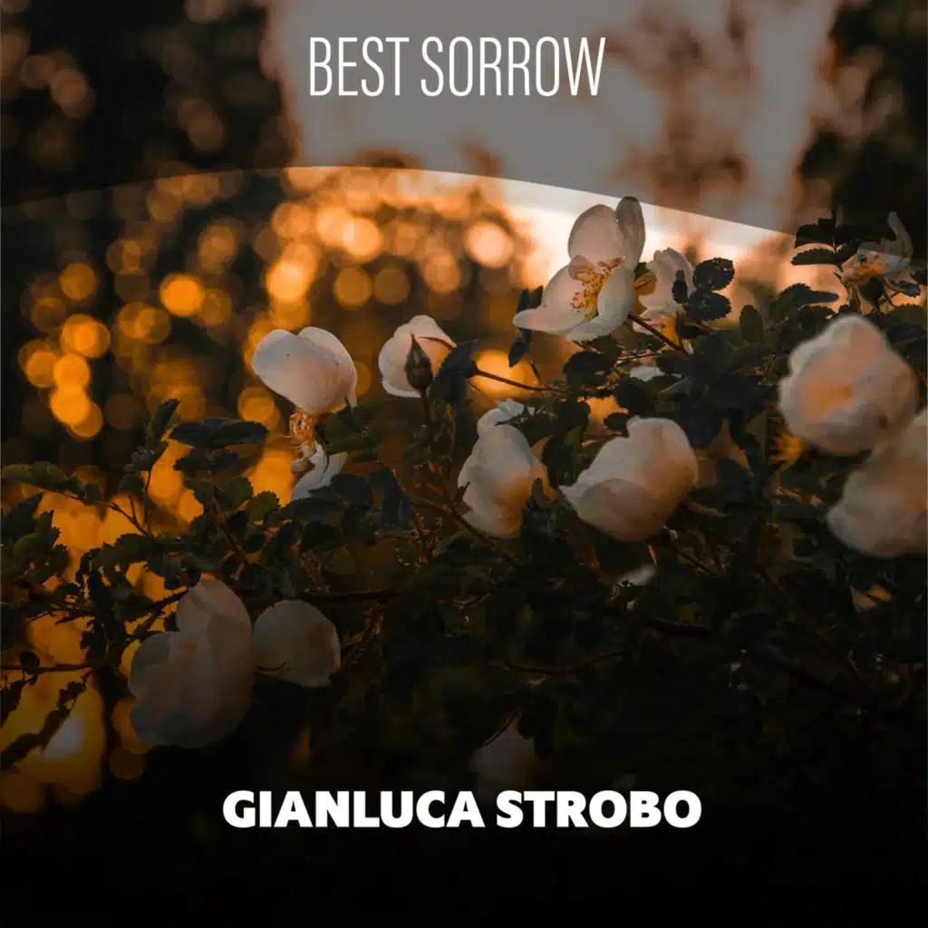 Signorina (Pitch -4)