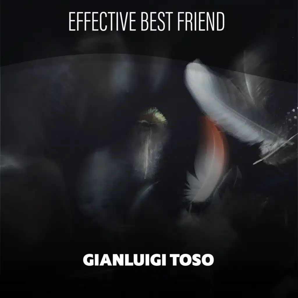 Blues Harmonica (Live Edit Cut 60 Rev)