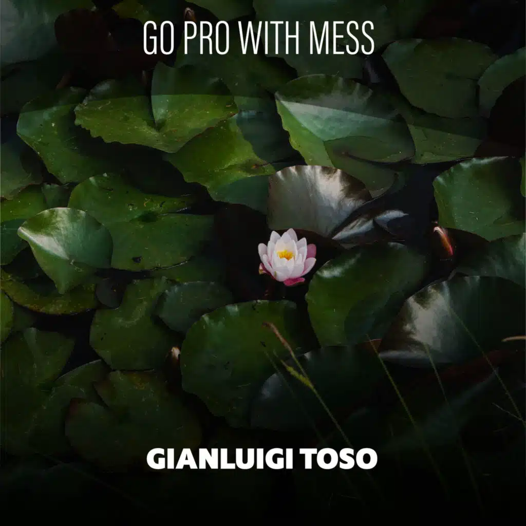 Cocorito Allegro (Edit Cut 60)