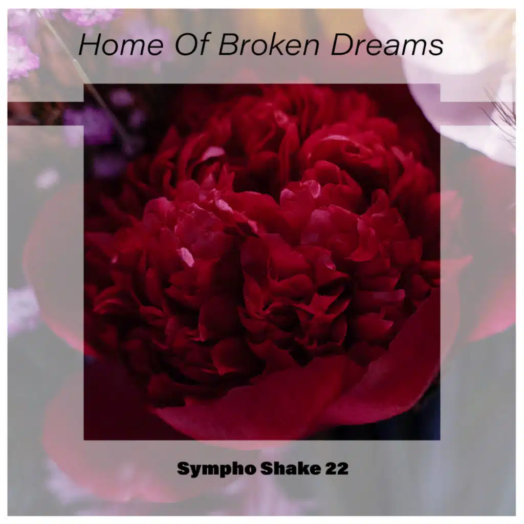 Home Of Broken Dreams Sympho Shake 22