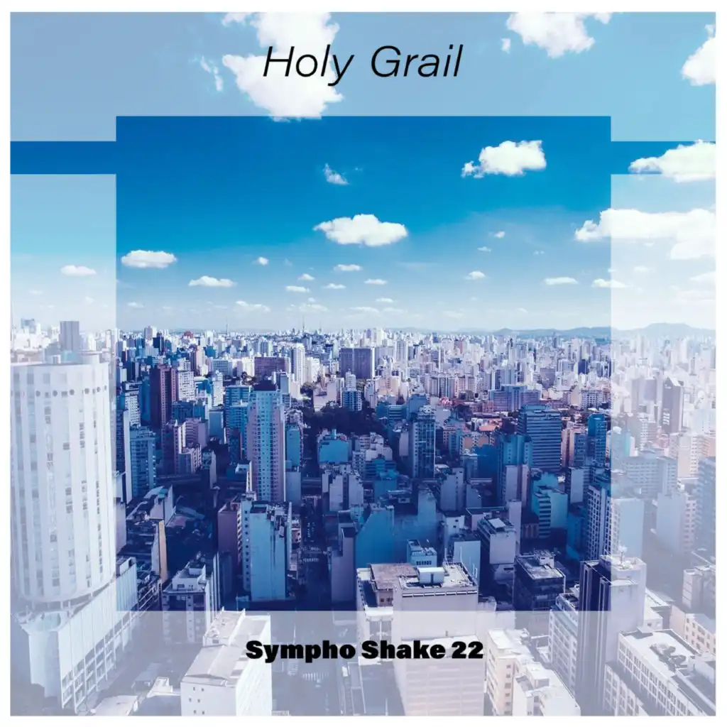 Holy Grail Sympho Shake 22