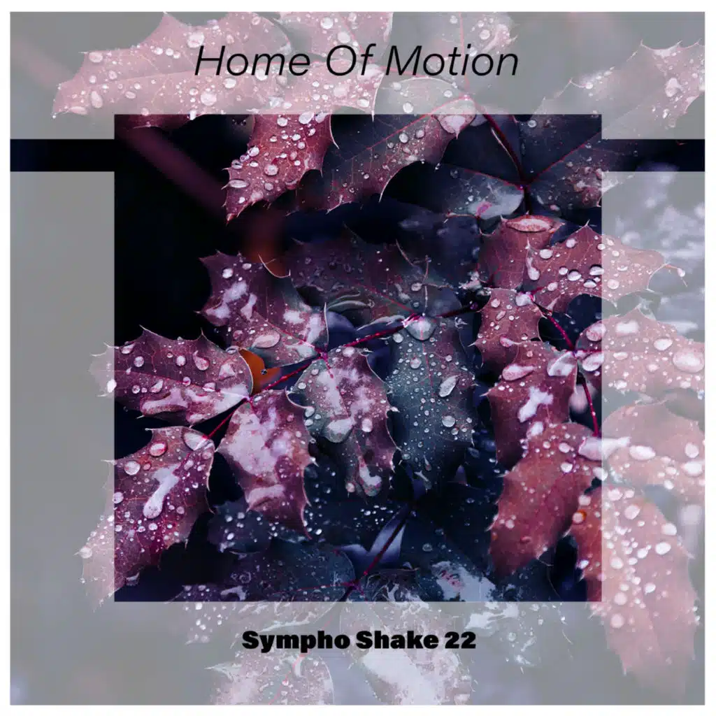 Home Of Motion Sympho Shake 22