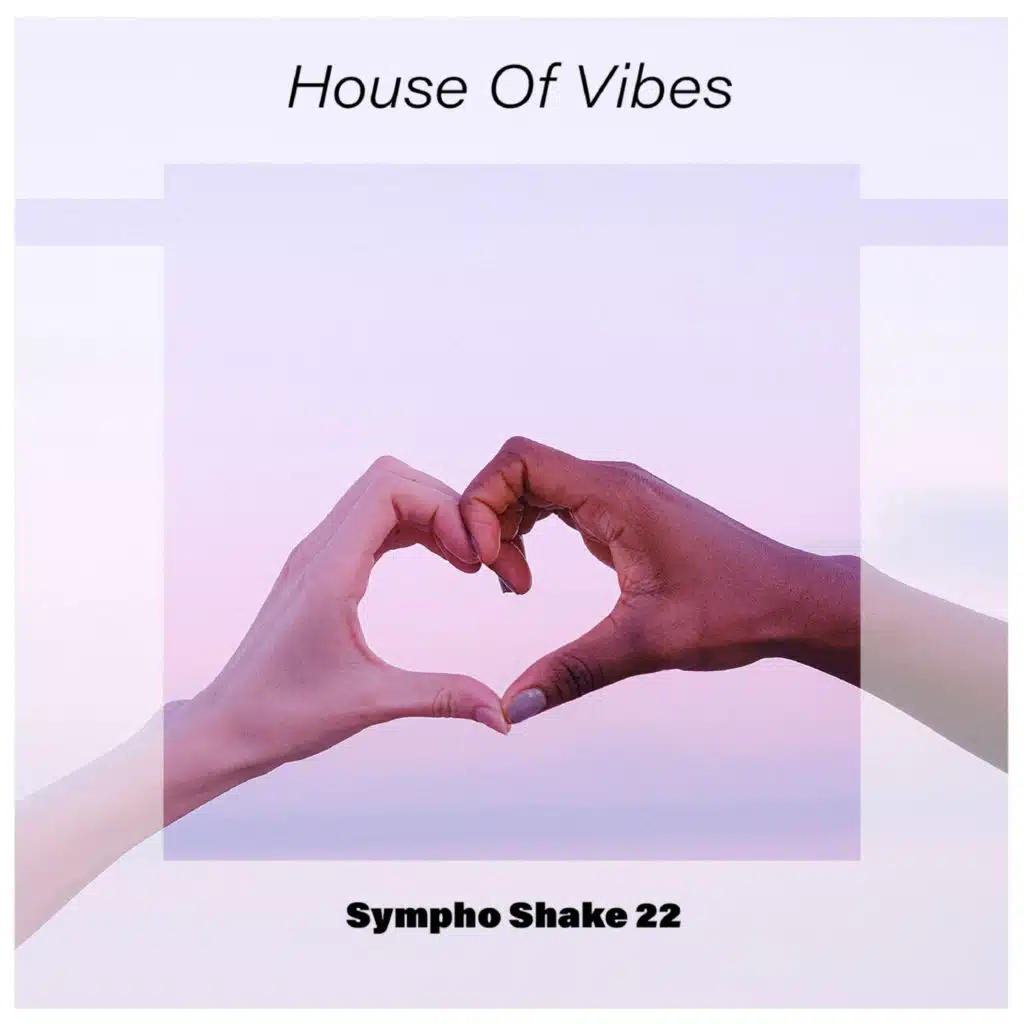 House Of Vibes Sympho Shake 22