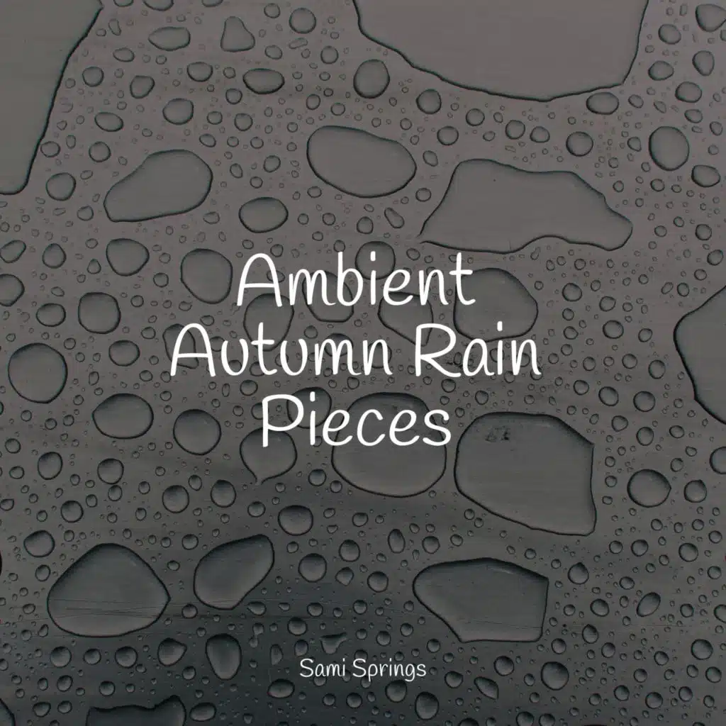 Sounds of Rain and Thunder