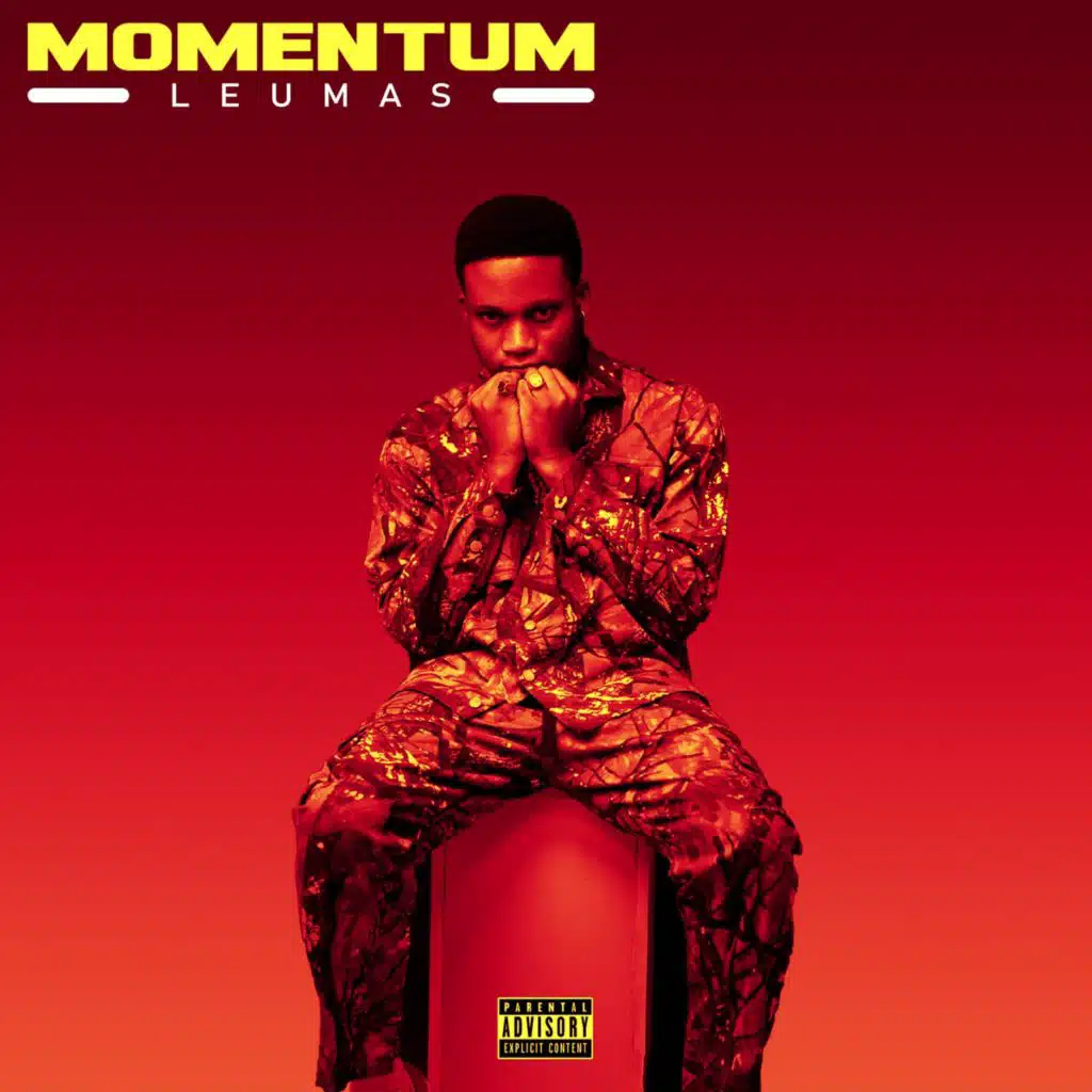 2019 (Momentum)