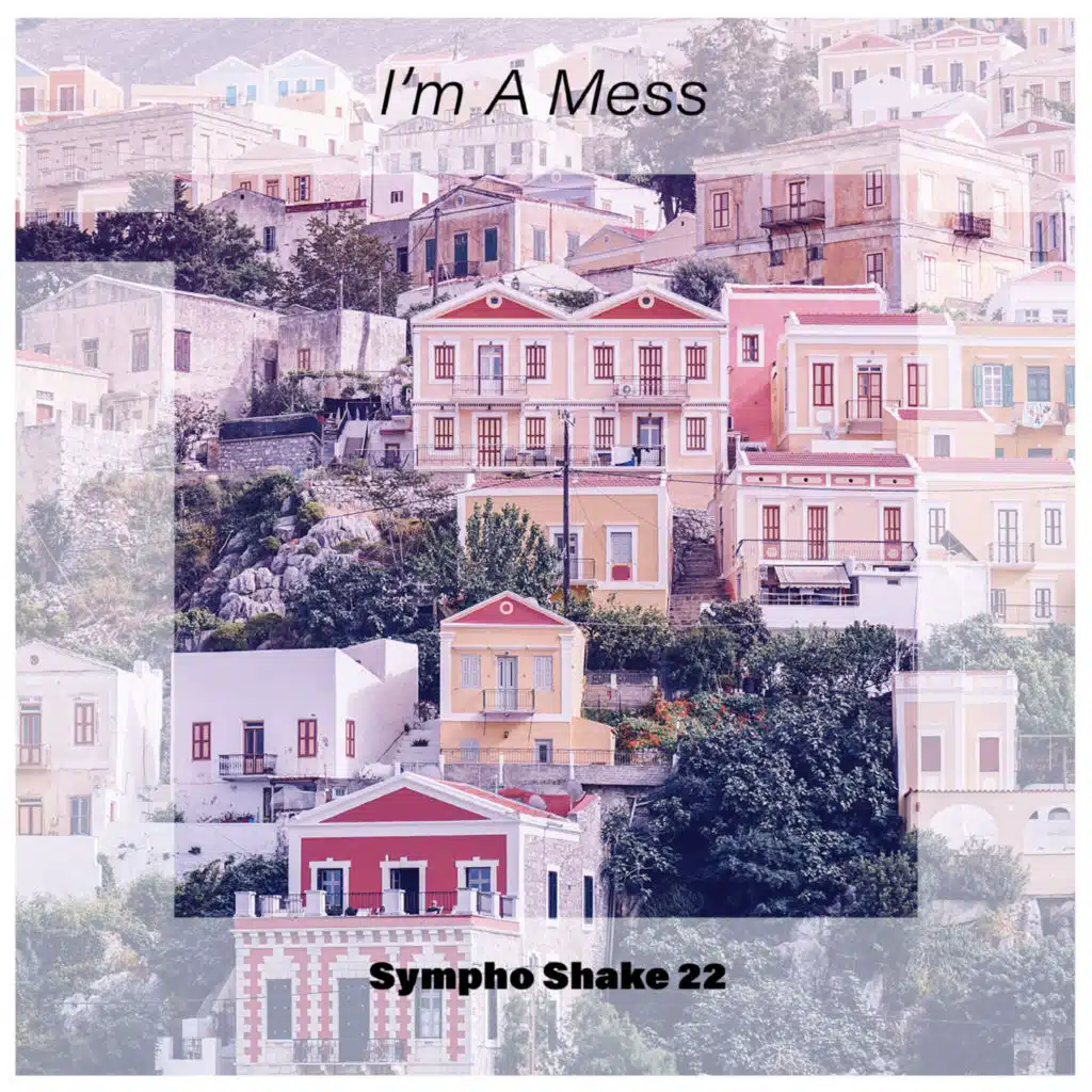 I'm A Mess Sympho Shake 22