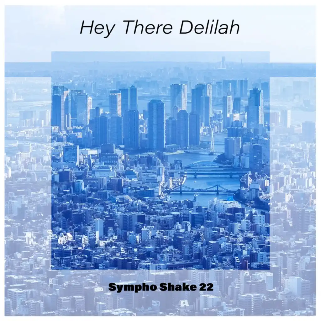 Hey There Delilah Sympho Shake 22