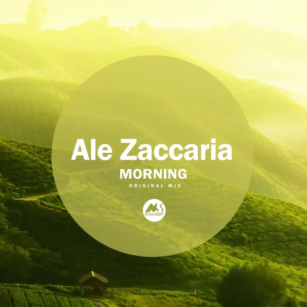 Ale Zaccaria