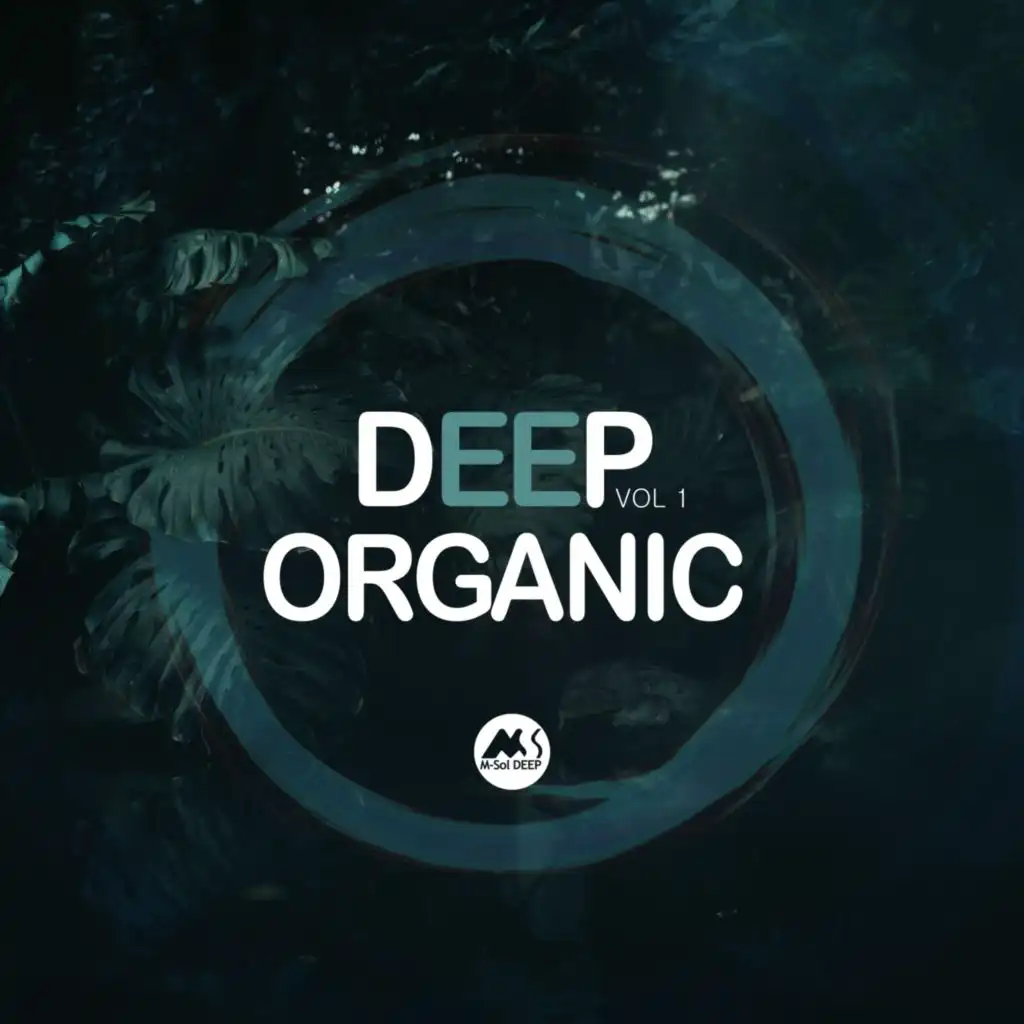 Deep Organic, Vol. 1 (feat. Dj Kid)