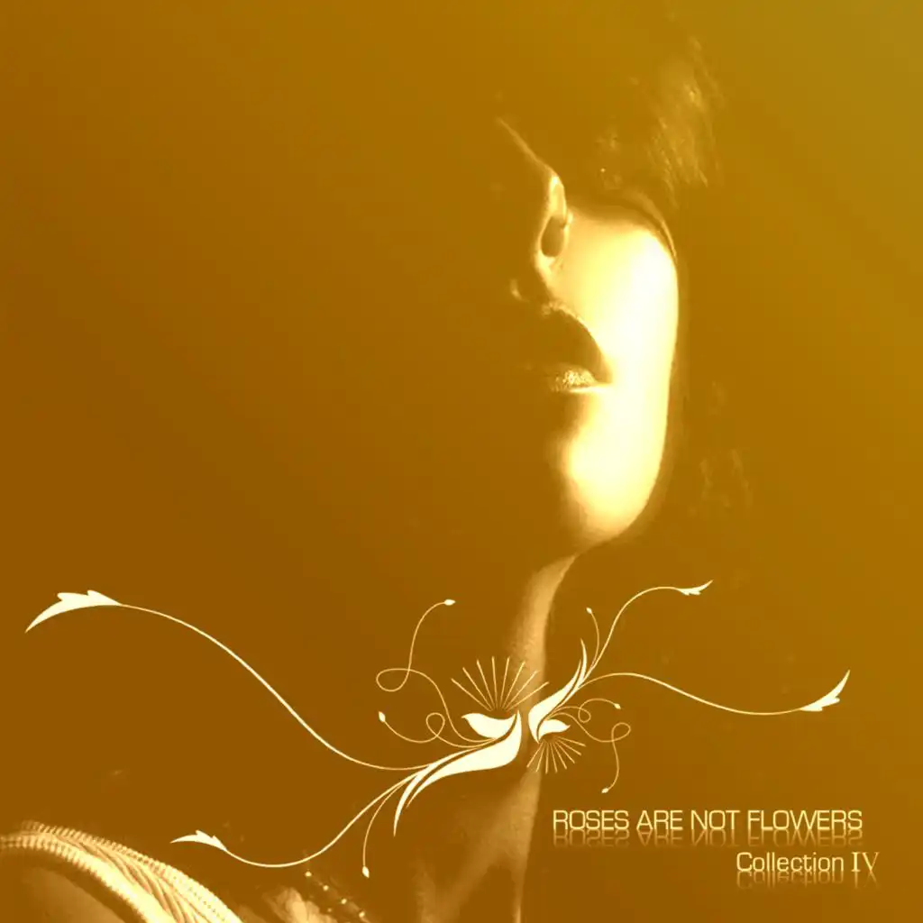 Inverso (Instrumental)