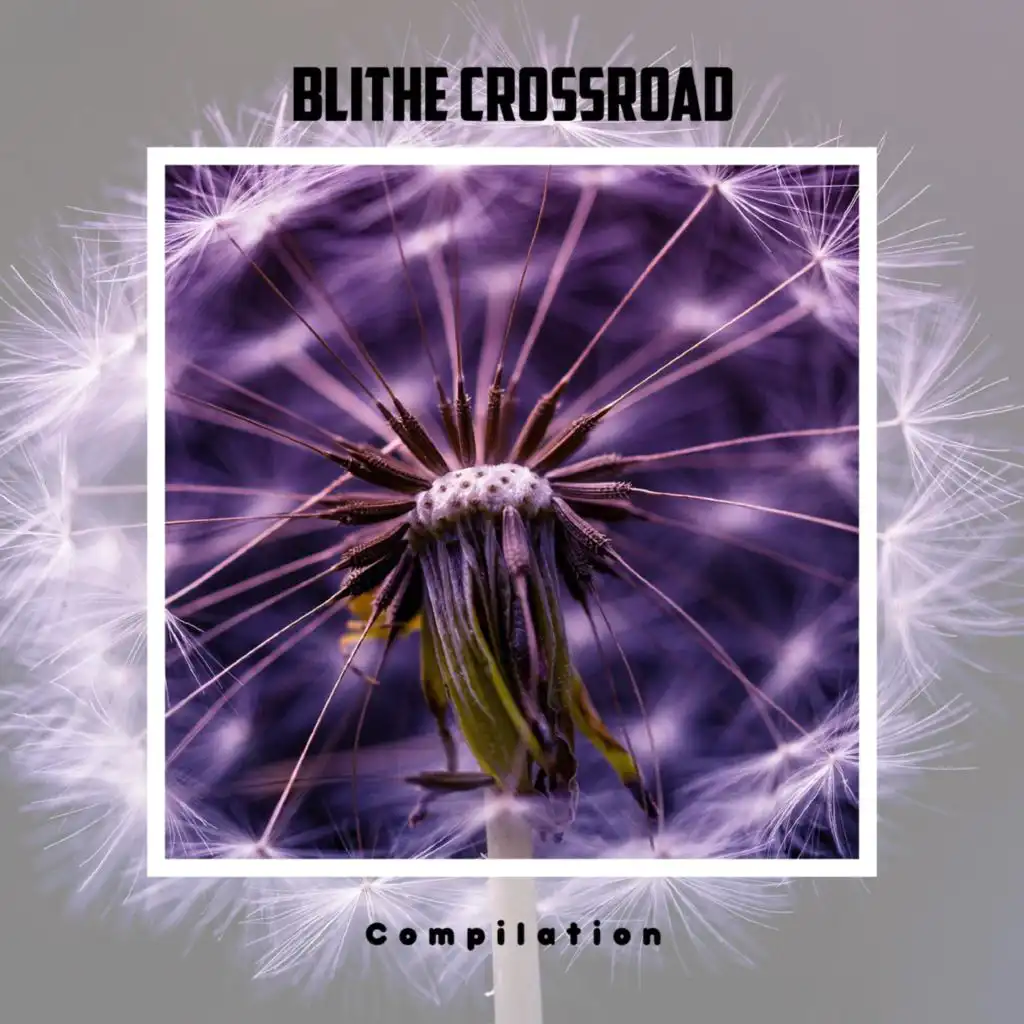 Blithe Crossroad Compilation