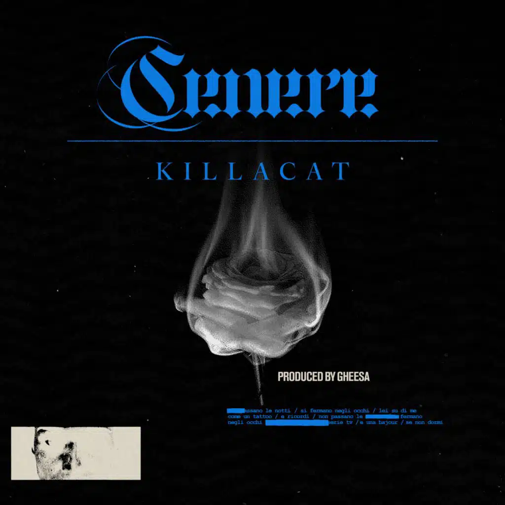 Killacat