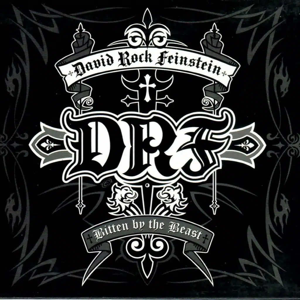 David Rock Feinstein