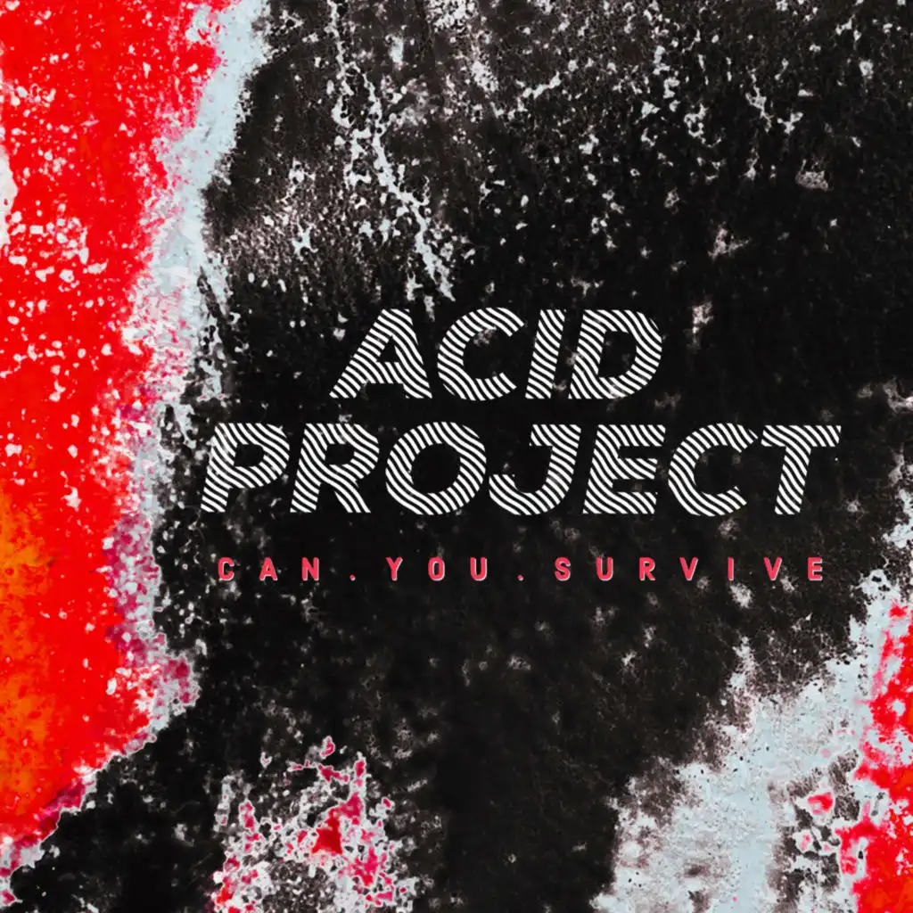 Acid Noise (Detroit Mix)