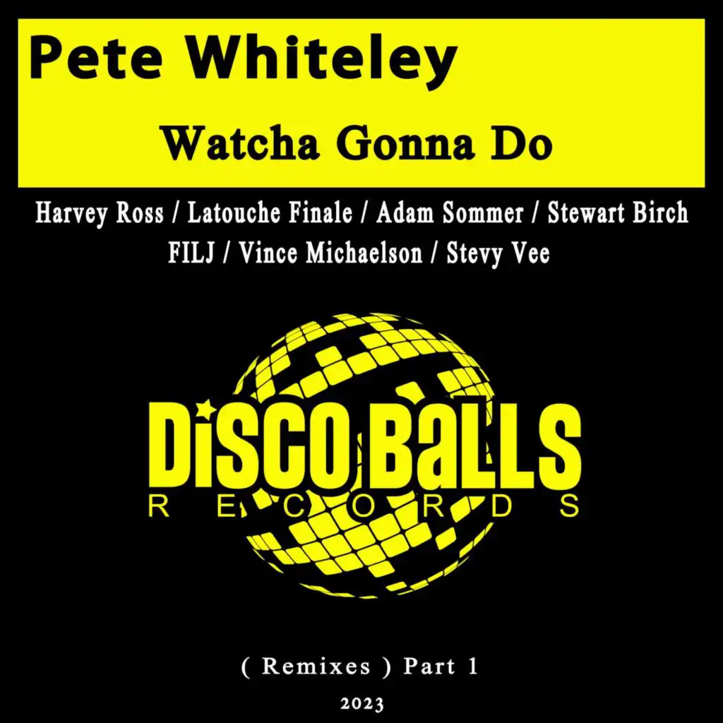 Watcha Gonna Do (Harvey Ross Remix)