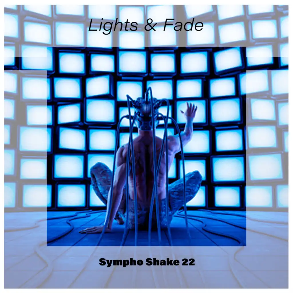 Lights & Fade Sympho Shake 22