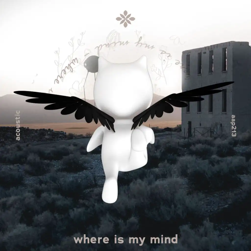 where is my mind - acoustic