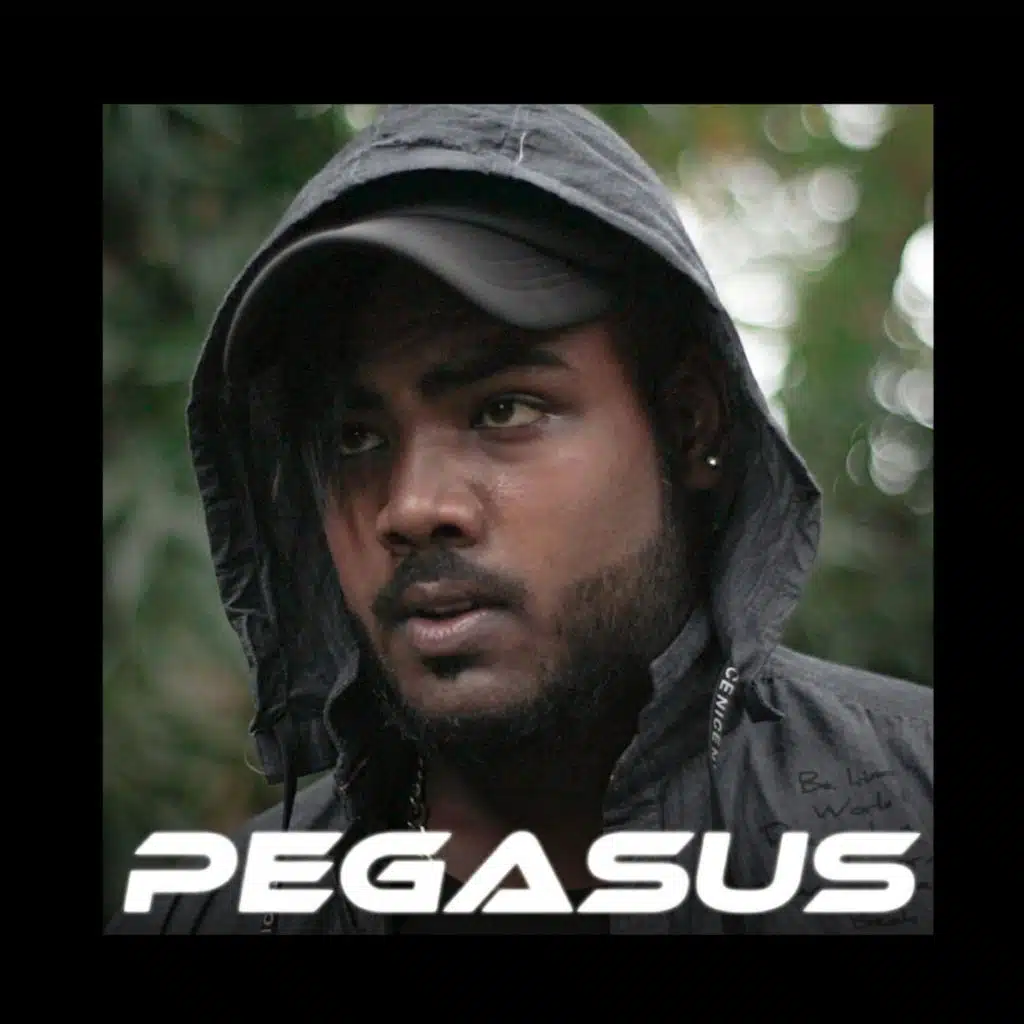 PEGASUS