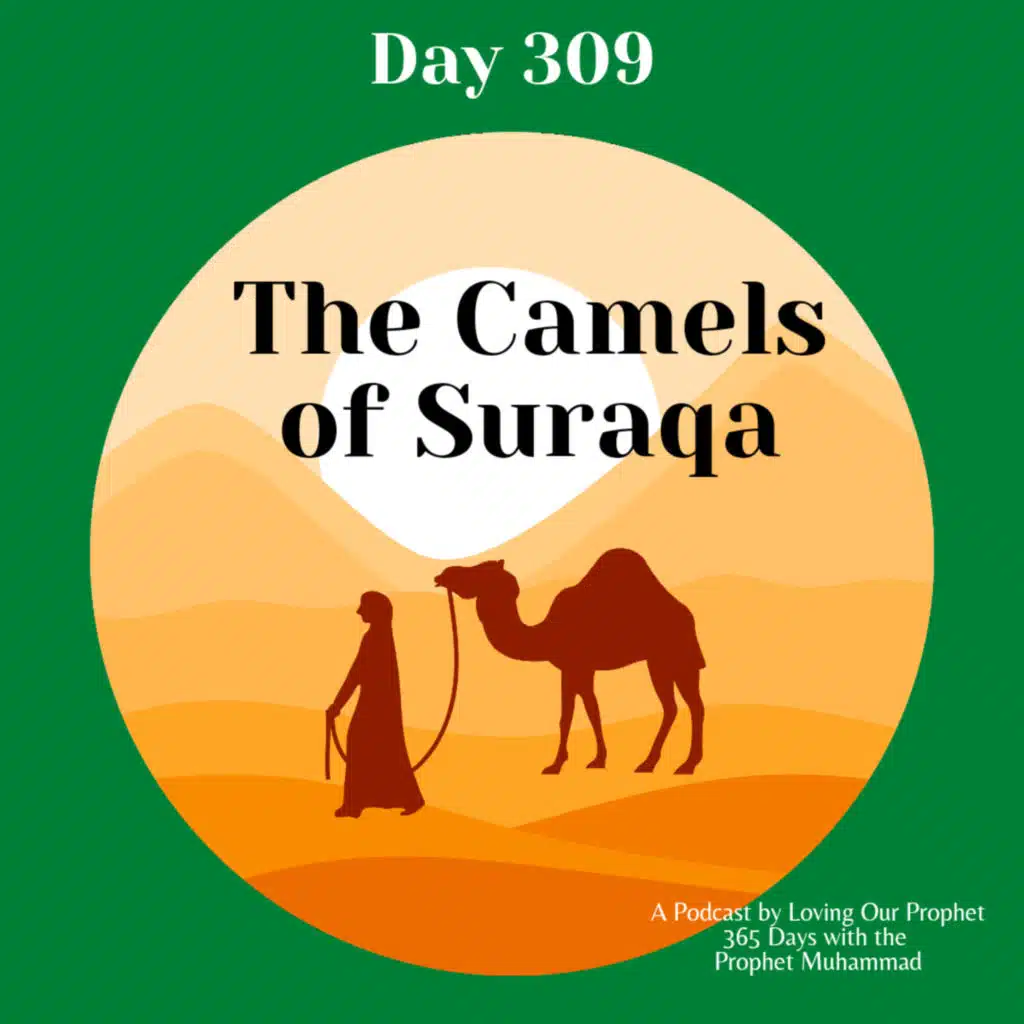 Day 309 - The Camels of Suraqa